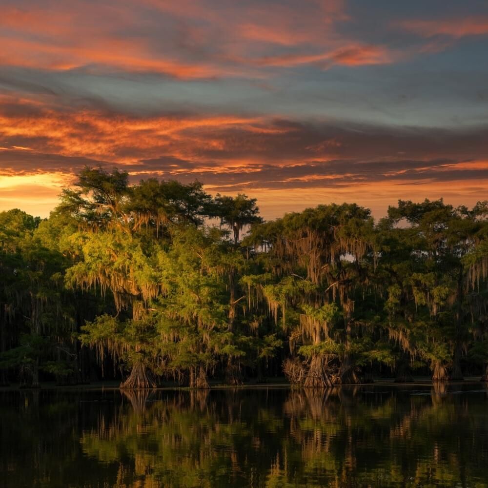 caddo8